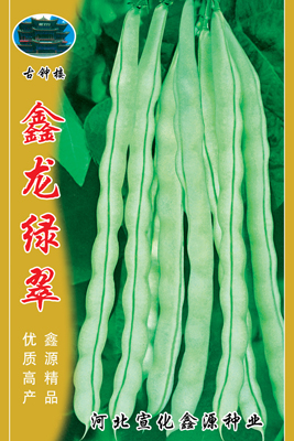 鑫龙绿翠——架豆